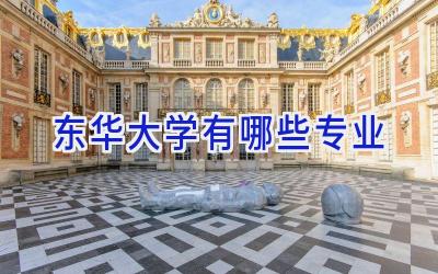 东华大学有哪些专业
