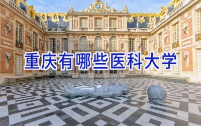重庆有哪些医科大学
