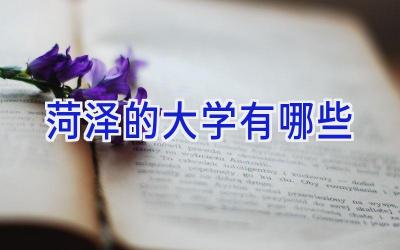 菏泽的大学有哪些