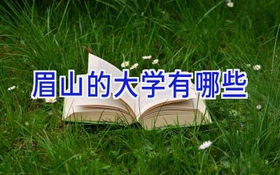 眉山的大学有哪些