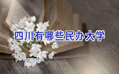 四川有哪些民办大学