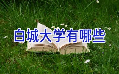 白城大学有哪些