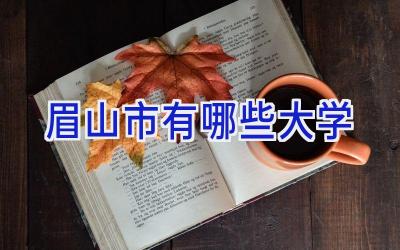 眉山市有哪些大学