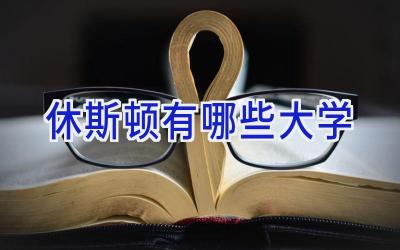休斯顿有哪些大学