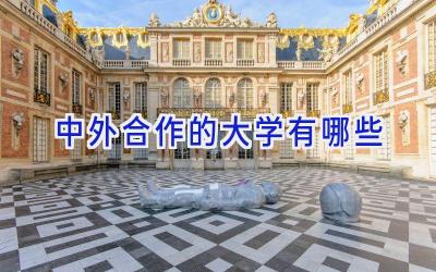 中外合作的大学有哪些