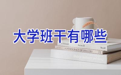 大学班干有哪些