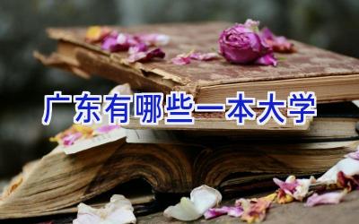 广东有哪些一本大学