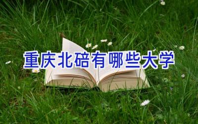 重庆北碚有哪些大学