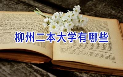 柳州二本大学有哪些
