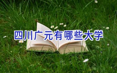 四川广元有哪些大学