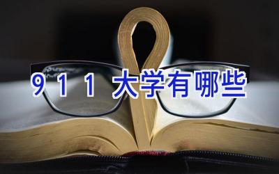 911大学有哪些
