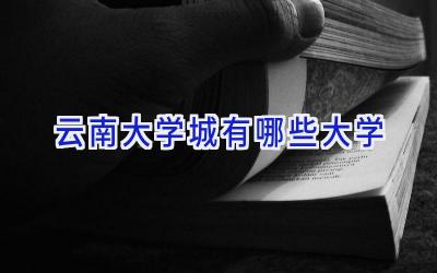 云南大学城有哪些大学