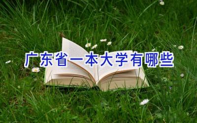 广东省一本大学有哪些