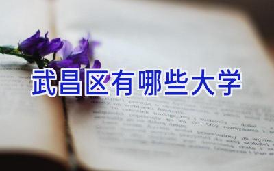 武昌区有哪些大学