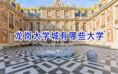 龙岗大学城有哪些大学