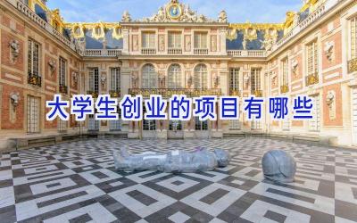 大学生创业的项目有哪些
