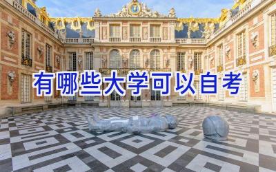 有哪些大学可以自考
