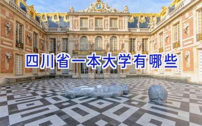 四川省一本大学有哪些