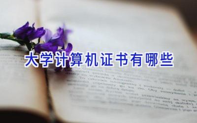 大学计算机证书有哪些