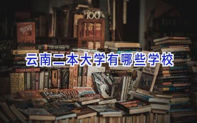云南二本大学有哪些学校