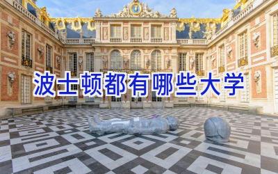 波士顿都有哪些大学