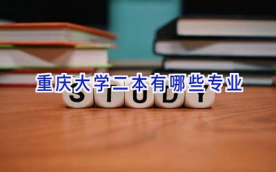 重庆大学二本有哪些专业