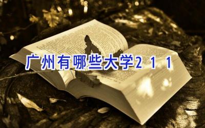 广州有哪些大学211