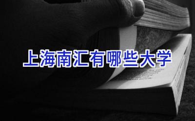 上海南汇有哪些大学