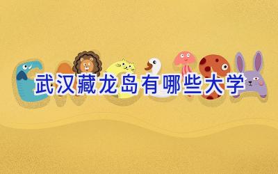 武汉藏龙岛有哪些大学