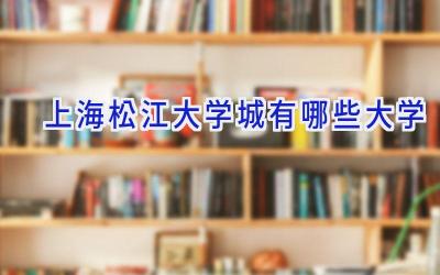 上海松江大学城有哪些大学