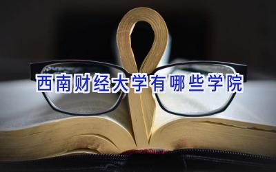 西南财经大学有哪些学院