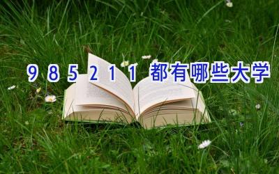 985211都有哪些大学