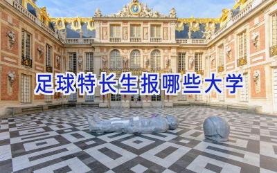足球特长生报哪些大学