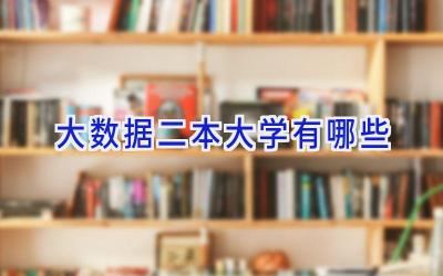 大数据二本大学有哪些