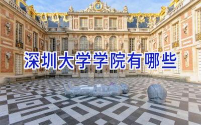 深圳大学学院有哪些