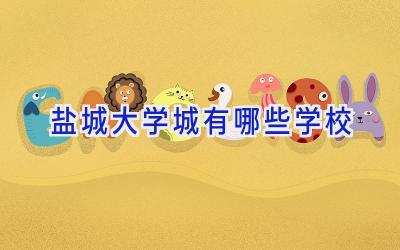 盐城大学城有哪些学校