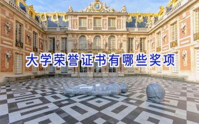 大学荣誉证书有哪些奖项