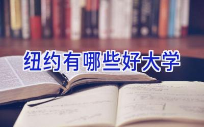纽约有哪些好大学