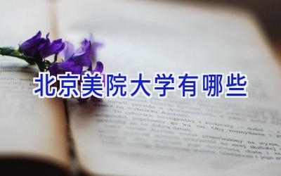 北京美院大学有哪些