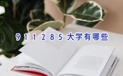 911285大学有哪些