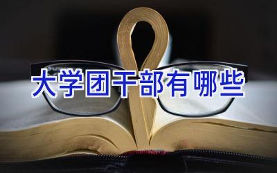 大学团干部有哪些