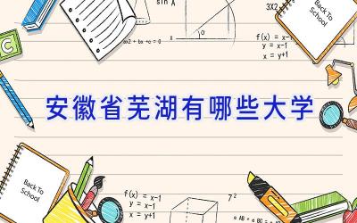 安徽省芜湖有哪些大学