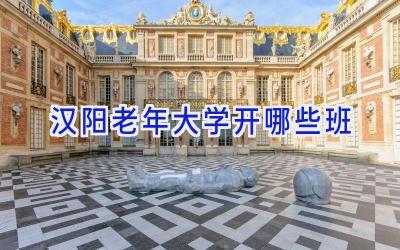 汉阳老年大学开哪些班