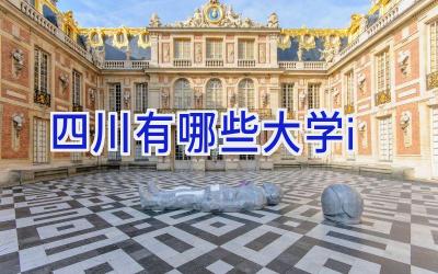 四川有哪些大学i