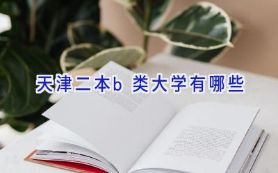 天津二本b类大学有哪些