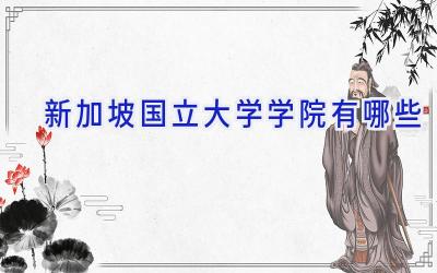 新加坡国立大学学院有哪些