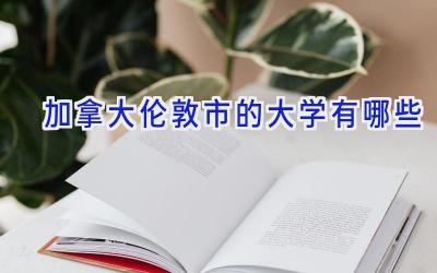加拿大伦敦市的大学有哪些