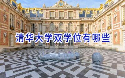 清华大学双学位有哪些