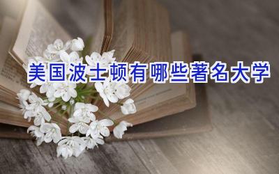 美国波士顿有哪些著名大学