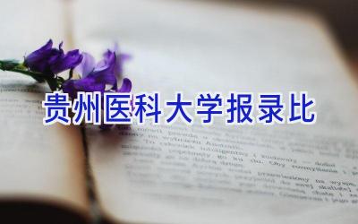 贵州医科大学报录比